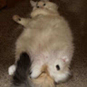 Meet your Posher, Christian